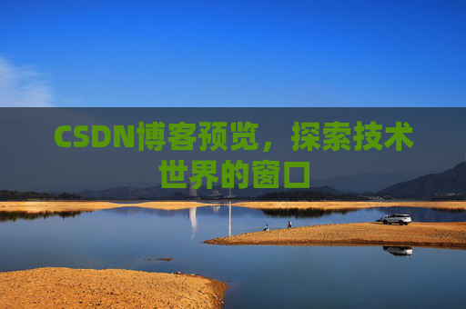 CSDN博客预览，探索技术世界的窗口